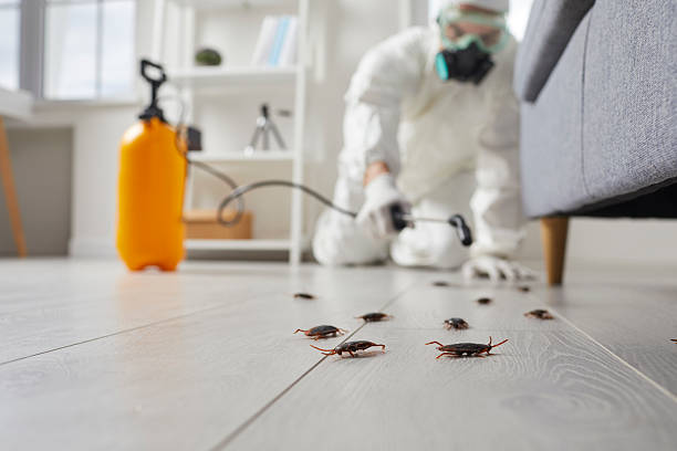 Commercial Kitchen Cockroach Control in Baldwin